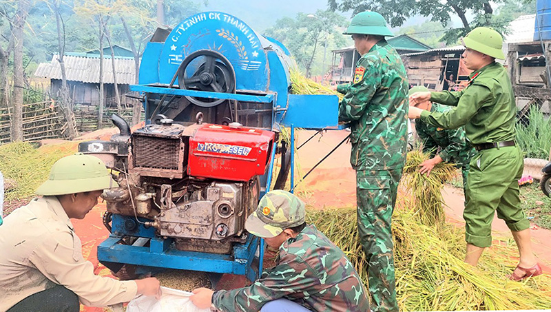 Năng suất lúa đạt cao nhất từ trước đến nay