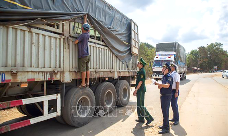  Các lực lượng Bộ đội Biên phòng, Hải quan, Kiểm dịch y tế quốc tế phối hợp kiểm soát hàng hóa qua cửa khẩu quốc tế Tân Nam. Ảnh minh họa: Giang Phương/TTXVN