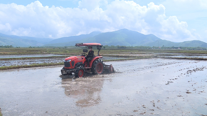 Nông dân Quảng Trạch tập trung làm đất, bảo đảm xuống giống đúng lịch thời vụ.