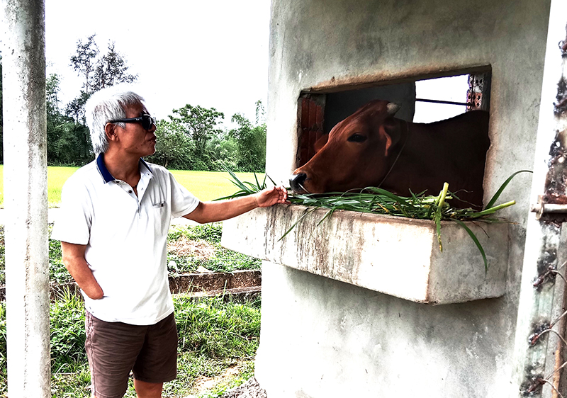 Nhiều mô hình chăn nuôi của hội viên người mù cho thu nhập cao.