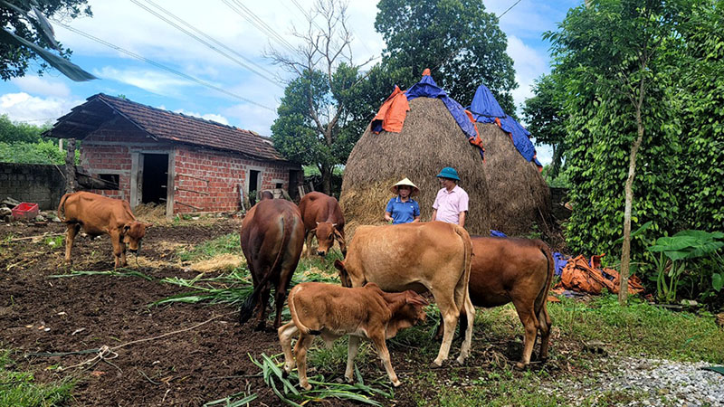 Nhiều trường hợp vay vốn được NHCSXH khoanh nợ, xóa nợ nhằm hỗ trợ vượt qua khó khăn