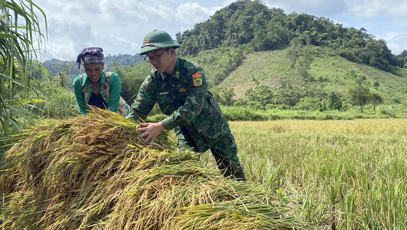 Lúa nước cho mùa vàng trĩu hạt ở bản làng trên biên giới