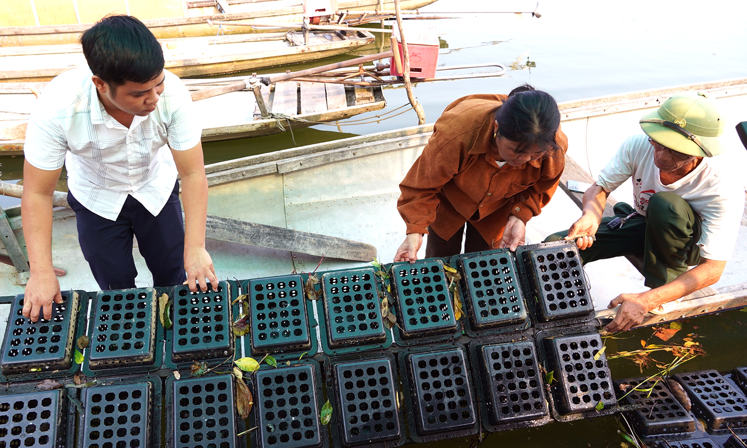Phát triển bền vững nghề nuôi trồng thủy sản