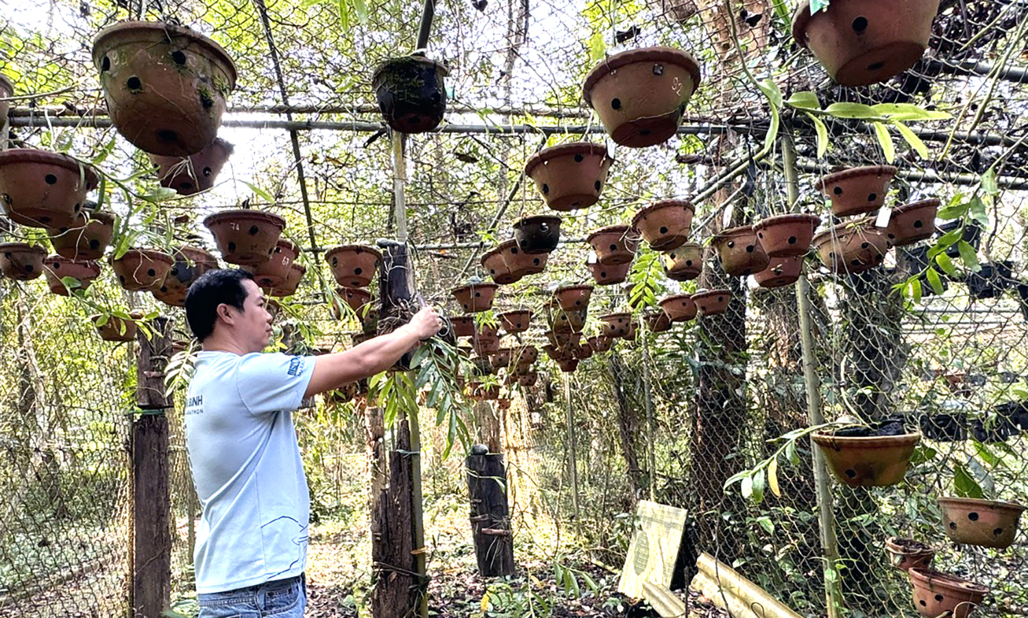 Bảo tồn tài nguyên di sản