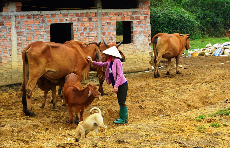 Kiểm soát, kiểm dịch động vật trên cạn và thủy sản