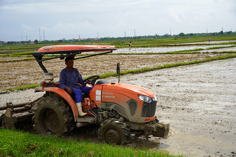 Nông dân tiến hành gieo trồng vụ lúa hè-thu.