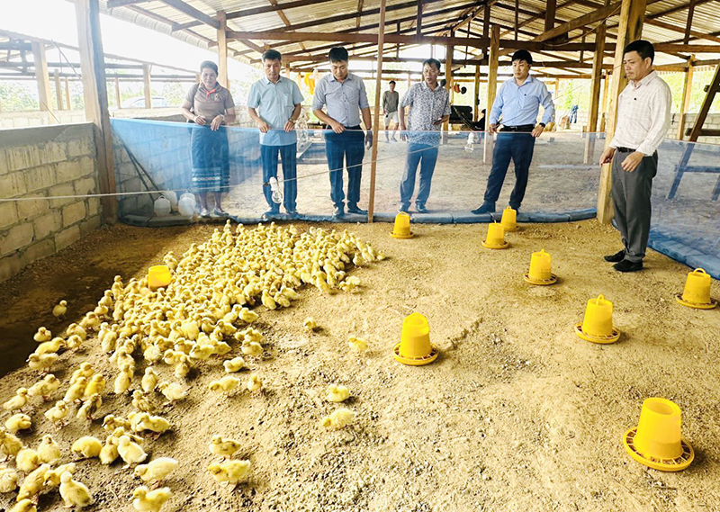 Việc hỗ trợ này không chỉ giúp bà con huyện Na Kai phát triển kinh tế mà còn thắt chặt tình hữu nghị giữa hai huyện.