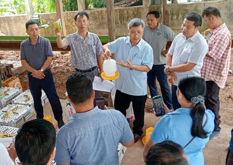 Cán bộ Phòng Nông nghiệp và Phát triển nông thôn huyện Tuyên Hóa tập huấn kỹ thuật chăn nuôi cho người dân huyện Na Kai.