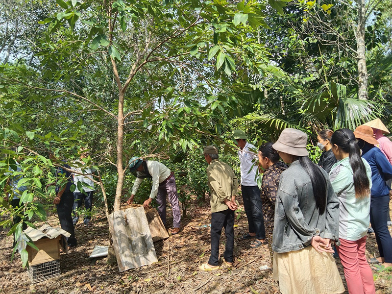 Người dân được học nghề nuôi ong lấy mật, góp phần phát triển kinh tế gia đình.