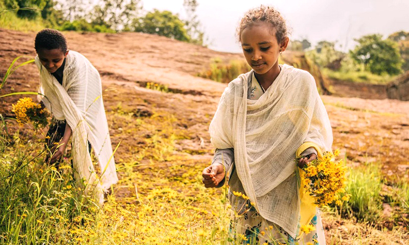 Hoa Adey Abeba bản địa bung nở là báo hiệu về năm mới tại Ethiopia. Ảnh: CNN