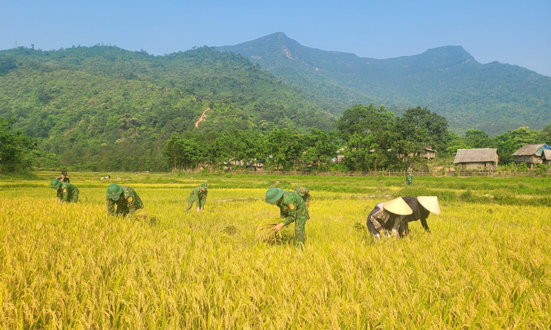 Cán bộ, chiễn sỹ bộ đội biên phòng giúp đồng bào dân tộc thiểu số trồng lúa nước.