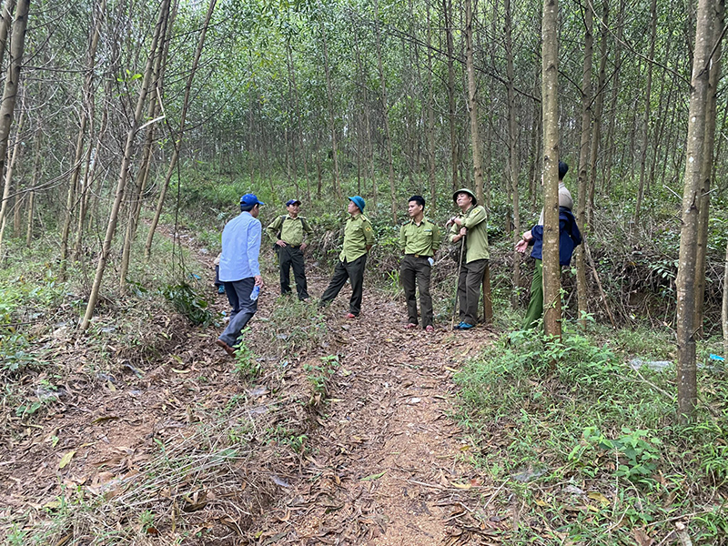 Lực lượng Kiểm lâm huyện Quảng Trạch tăng cường tuần tra, bảo vệ, phòng cháy chữa cháy rừng.