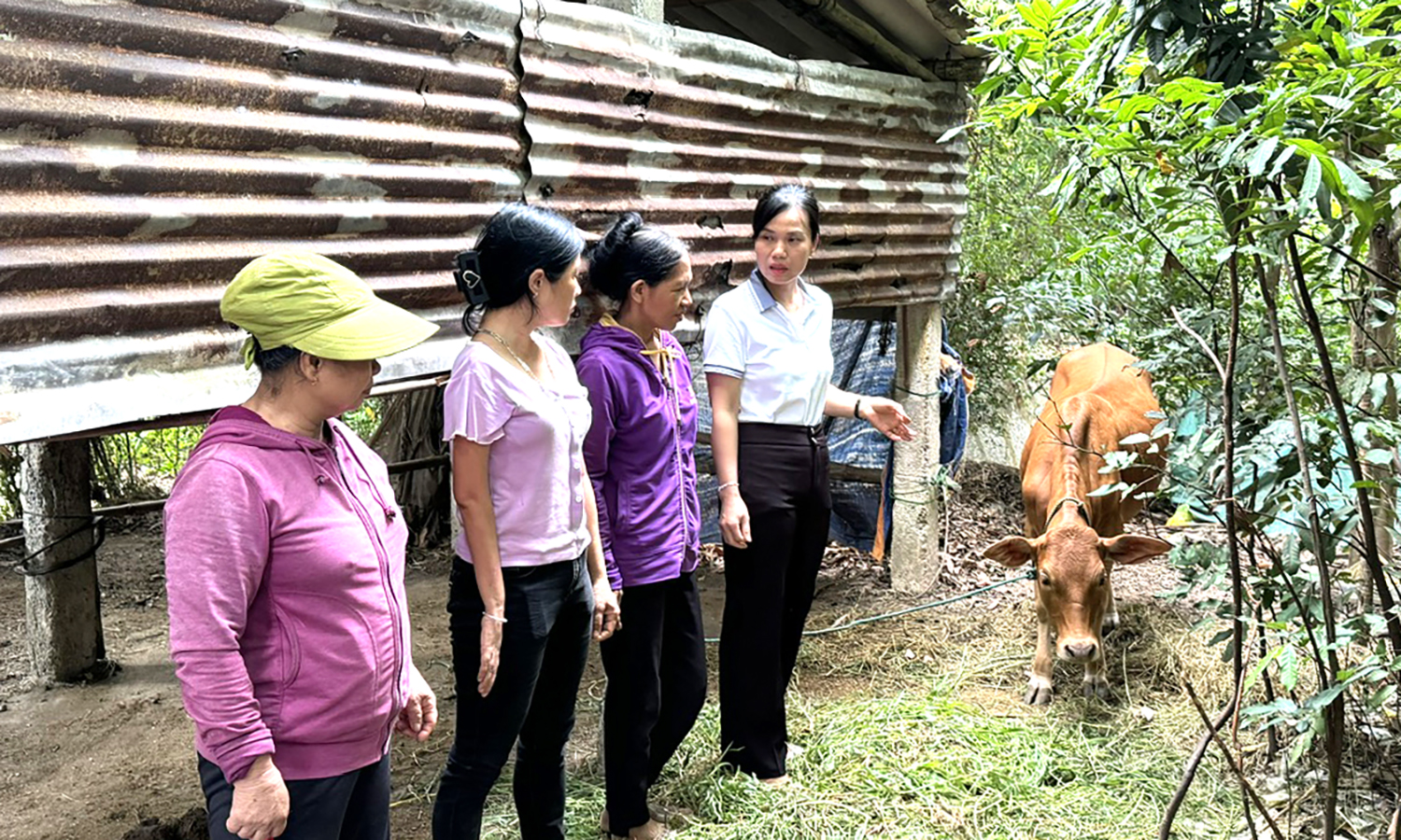 Khi người nghèo có điểm tựa