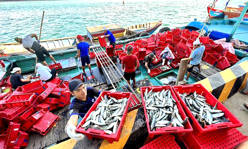 Tàu cá công suất lớn đánh bắt xa bờ cập cảng cá Cửa Tùng. Ảnh minh họa: Nguyên Linh/TTXVN