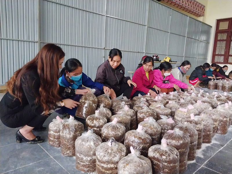 Lớp học nghề trồng nấm thu hút nhiều lao động địa phương tham gia.