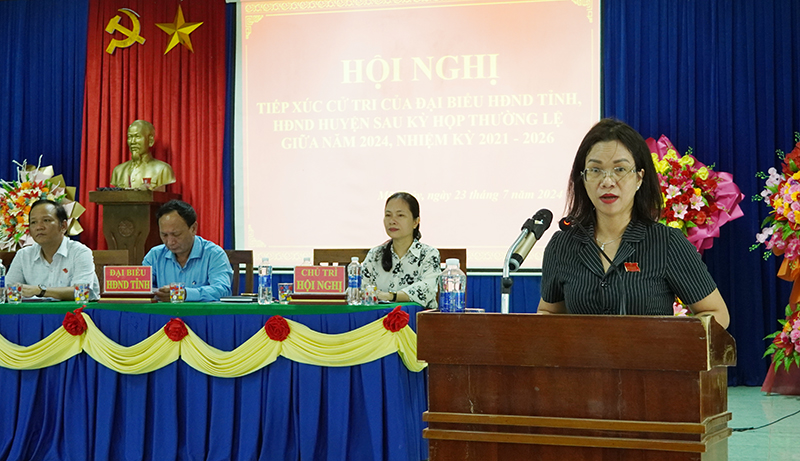 Đại diện tổ đại biểu HĐND tỉnh báo cáo kết quả kỳ họp.