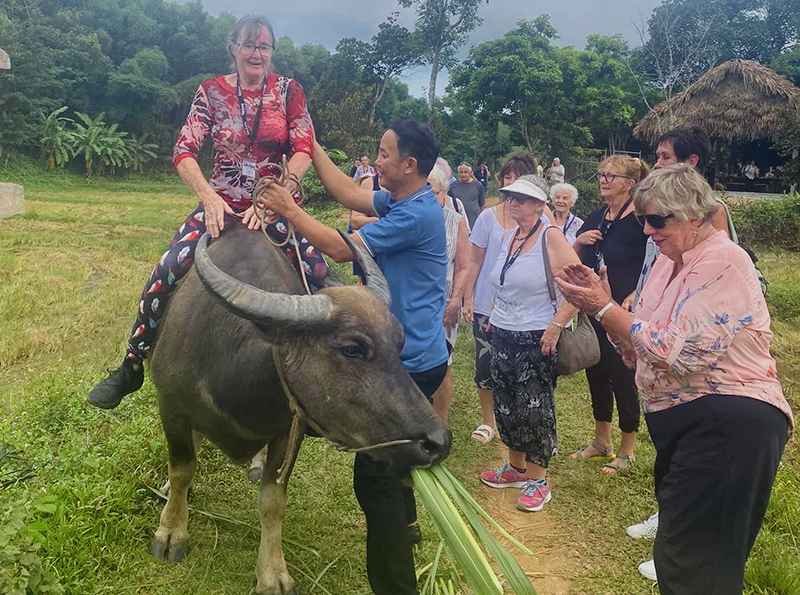 Du khách quốc tế hào hứng trải nghiệm du lịch nông nghiệp.