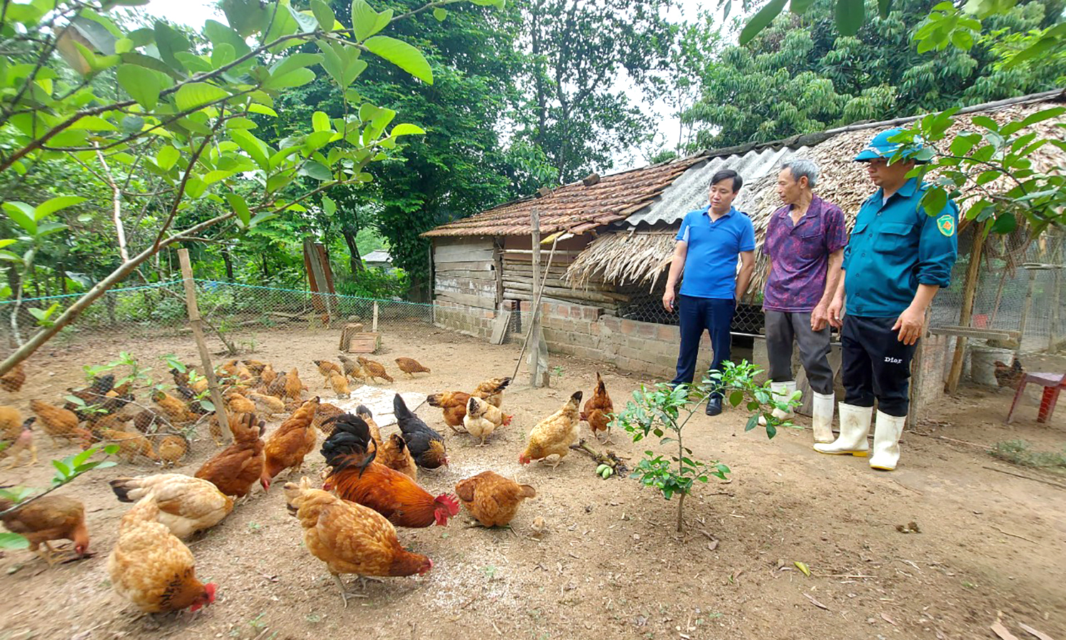 Bảo tồn và phát triển giống vật nuôi bản địa
