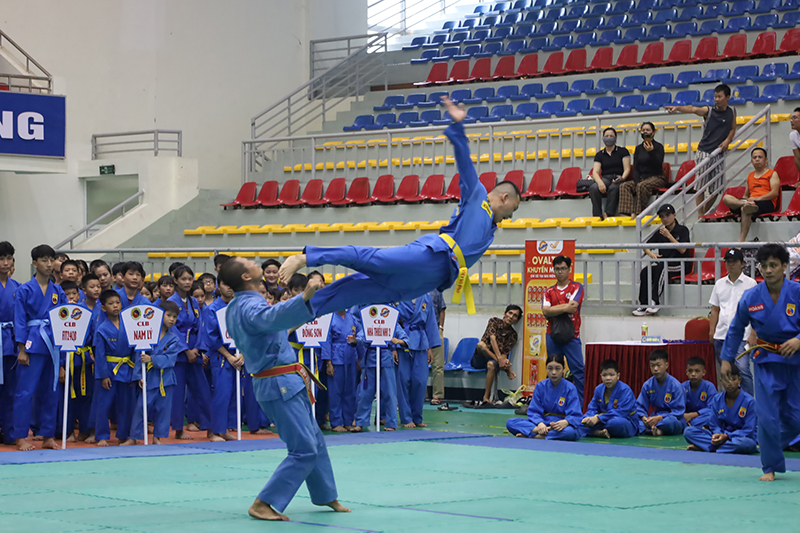 Màn biểu diễn Vovinam tại lễ khai mạc. 