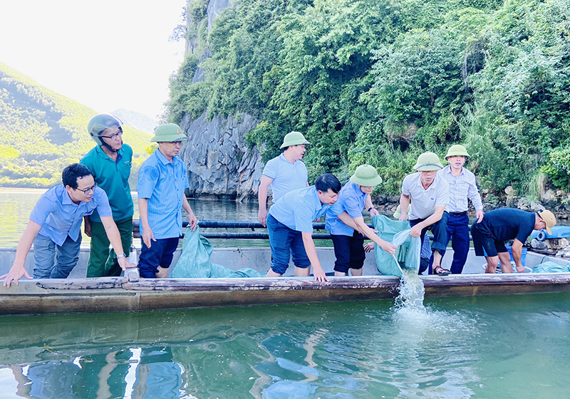 Các đại biểu, người dân huyện Tuyên Hóa đang thả cá giống xuống sông Gianh.