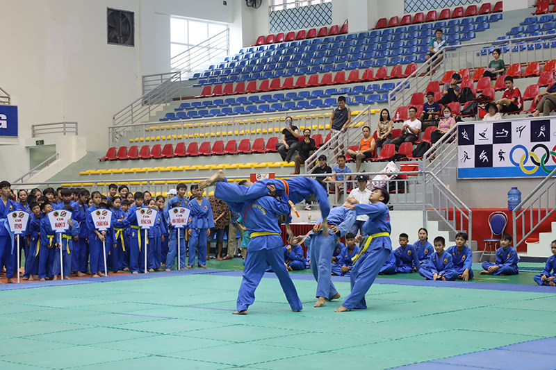 Biểu diễn võ Vovinam-Việt võ đạo.