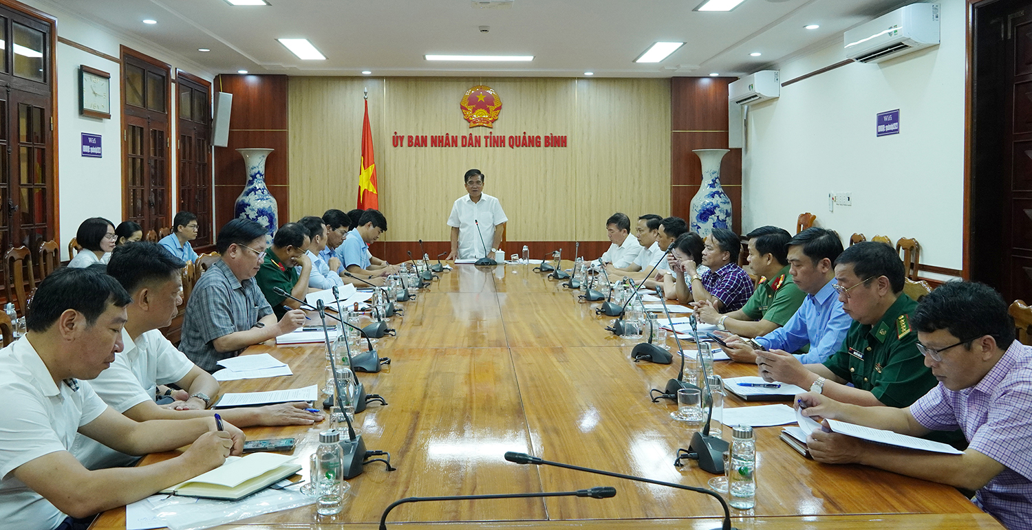 Đồng chí Phó Chủ tịch Thường trực UBND tỉnh Đoàn Ngọc Lâm phát biểu kết luận buổi làm việc.