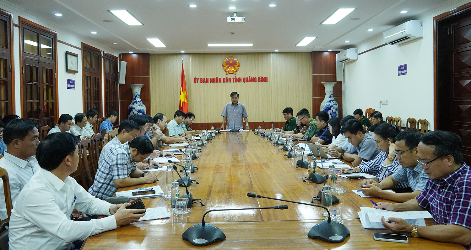 Đồng chí Phó Chủ tịch Thường trực UBND tỉnh Đoàn Ngọc Lâm phát biểu kết luận tại cuộc họp.