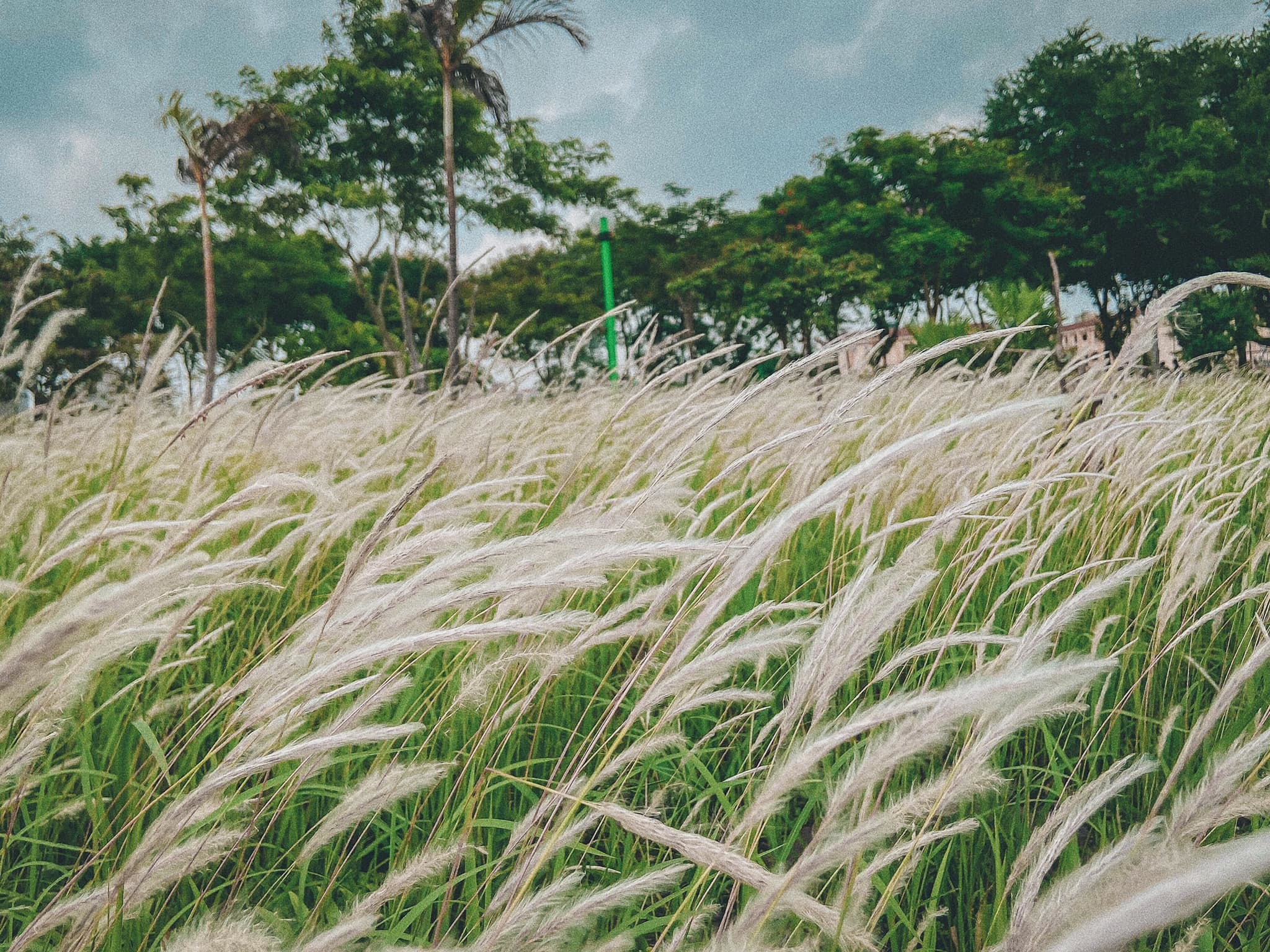 Lỡ hẹn