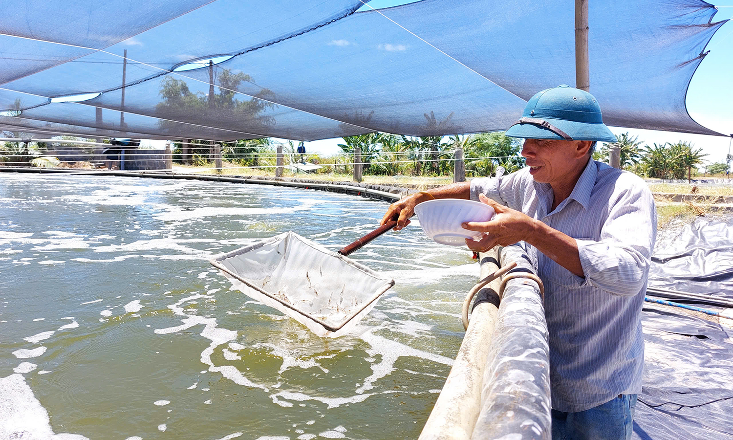 Những nông dân năng động