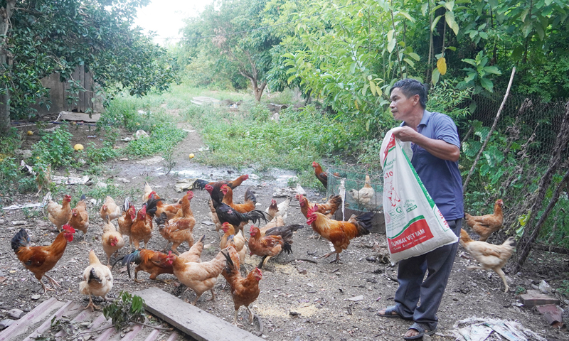 Đồng hành cùng nông dân, phụ nữ làm giàu