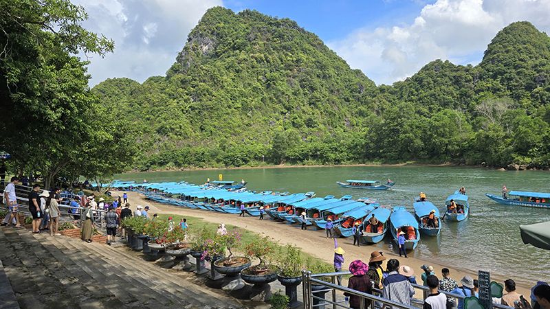 Động Phong Nha là một trong những điểm tham quan tập trung đông khách du lịch gồm: Động Phong Nha