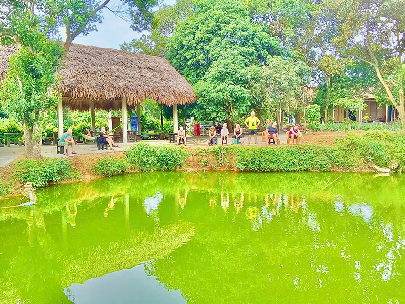 Không gian yên bình tại Tang’s Farm.