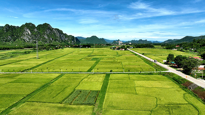 Các tuyến đường giao thông ở xã Mai Hóa (Tuyên Hóa) được đầu tư, bảo đảm xanh-sạch-đẹp.