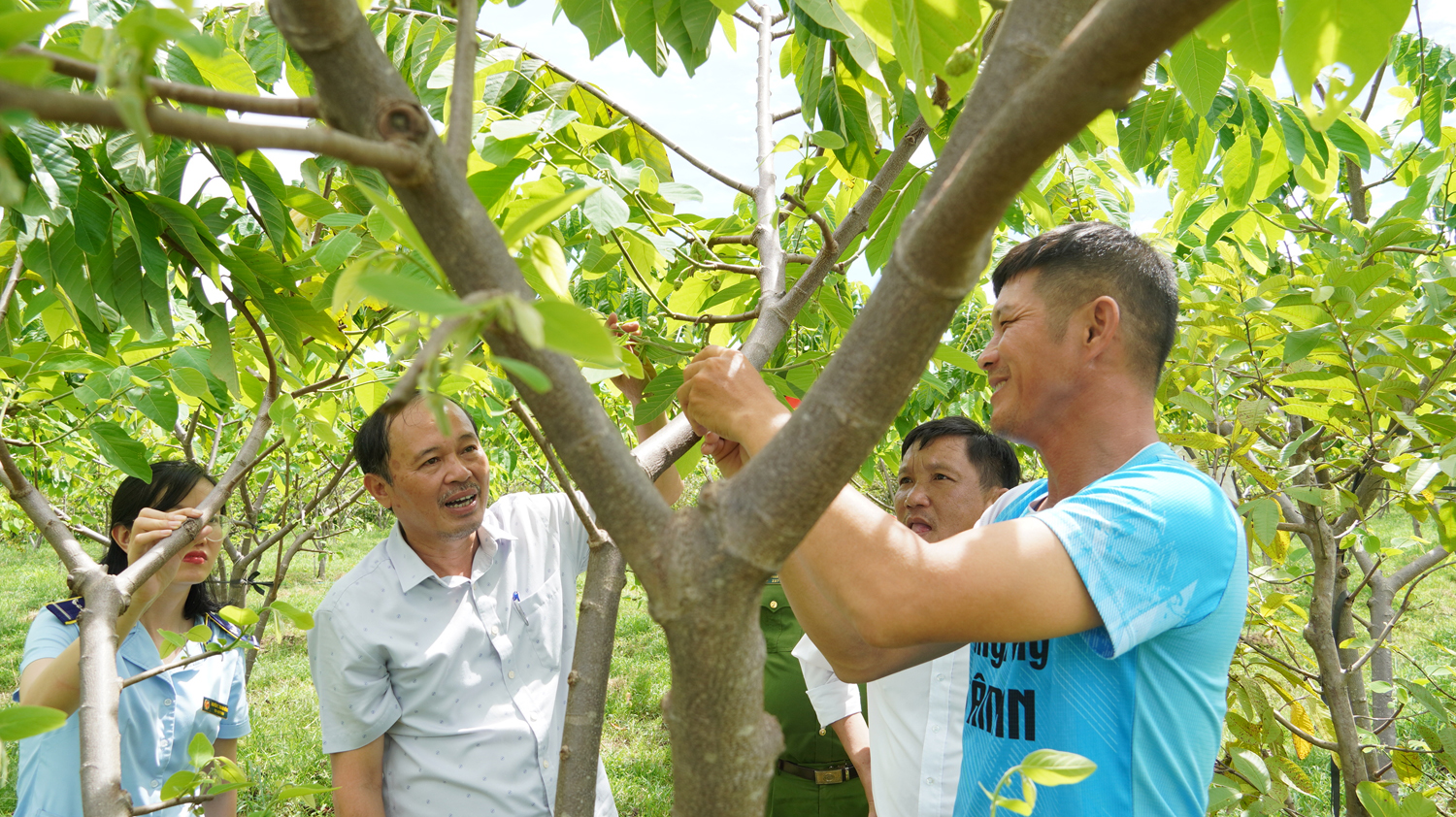 Đoàn liên ngành kiểm tra mô hình sản xuất của HTX Nông nghiệp công nghệ cao Tâm An. 