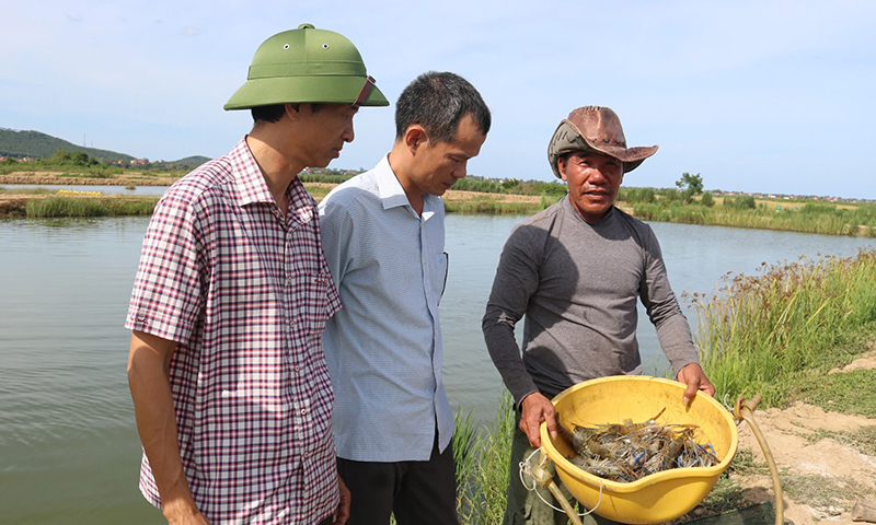 Cán bộ Trung tâm KN-KN tỉnh kiểm tra hiệu quả mô hình nuôi tôm càng xanh 2 giai đoạn của gia đình ông Nguyễn Văn Vững.