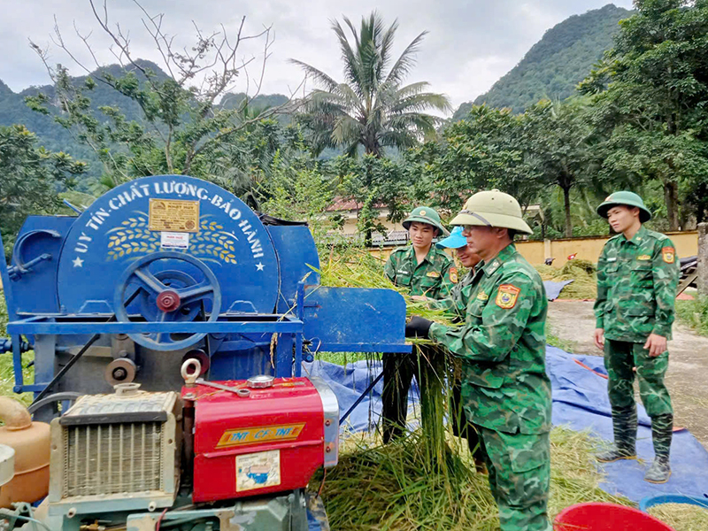 Cán bộ, chiến sĩ các đồn biên phòng trên địa bàn huyện Minh Hóa giúp người dân thu hoạch lúa hè-thu.