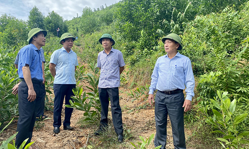  Đồng chí Phó Bí thư Thường trực Tỉnh ủy Trần Hải Châu và đoàn công tác kiểm tra thực địa các điểm sạt lở tại đồi Phòng Không, xã Đức Hóa. 