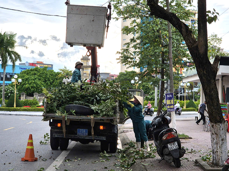 Trung tâm Công viên cây xanh thành phố cắt, tỉa cành, cây xanh đô thị, chống đỡ cây xanh trên địa bàn trước khi bão đổ bộ.