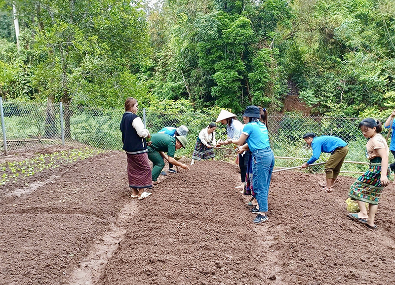 Bố Trạch: Nâng cao chất lượng đào tạo nghề cho lao động nông thôn