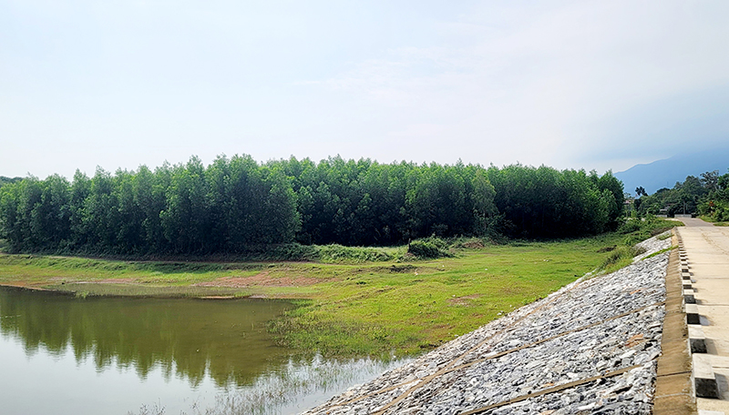 Sẽ thành lập đoàn kiểm tra, xác minh 