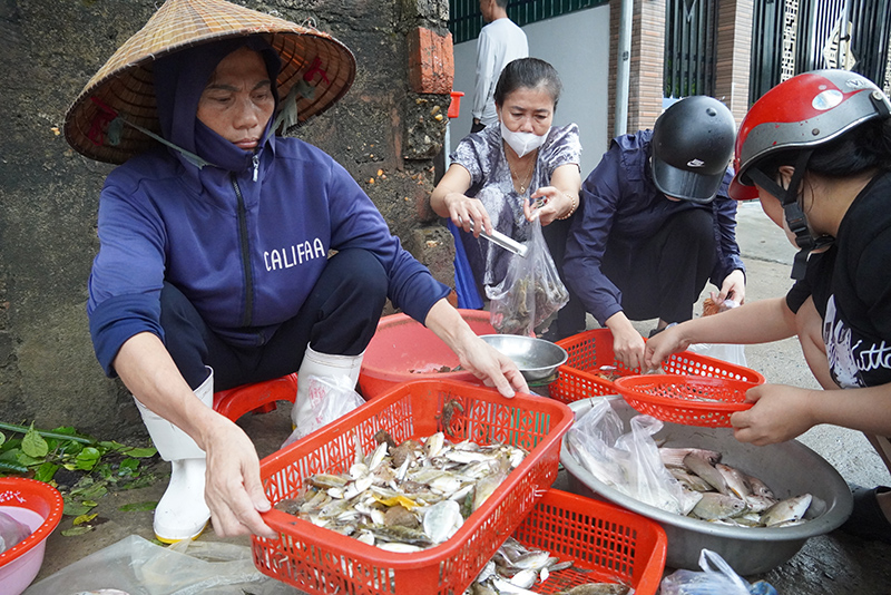 Tôm, cá mùa nước sỉa được ưa chuộng bởi vừa được đánh bắt lên nên rất tươi, ngon.