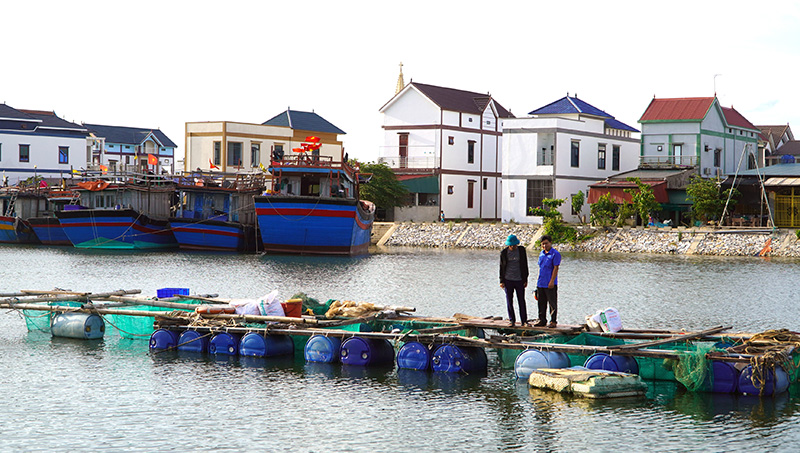 Nông dân thôn Cồn Sẻ (xã Quảng Lộc, TX. Ba Đồn) phát triển mạnh nghề nuôi cá lồng trên sông Gianh.