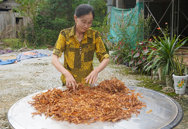 Nghề chế biến măng rừng giúp cho nhiều hội viên phụ nữ xã Hóa Thanh có thu nhập khá.