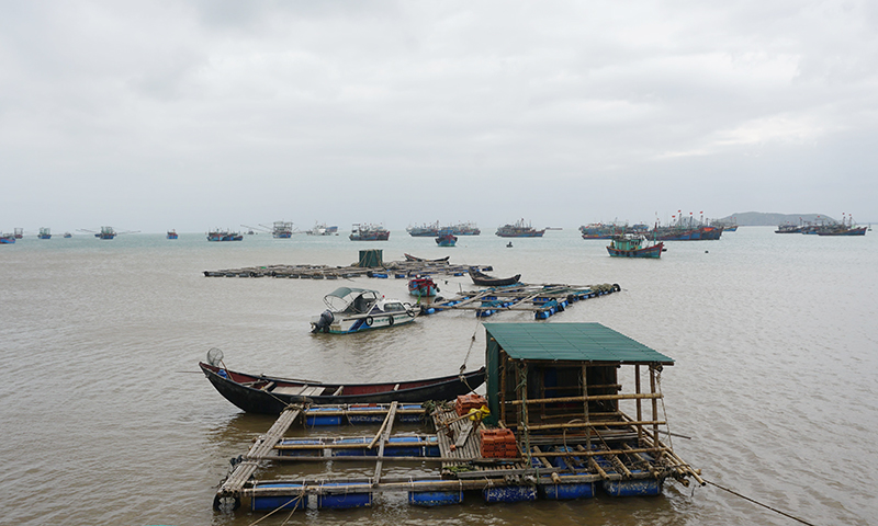 Quy định mức bồi thường khi thu hồi đất mà gây thiệt hại đối với vật nuôi là thủy sản