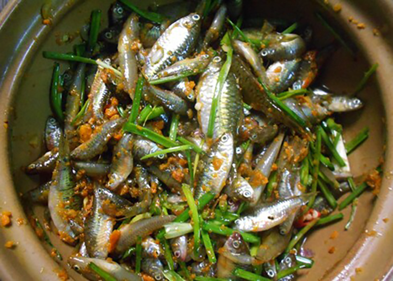 Cá mụn đồng ngày mưa