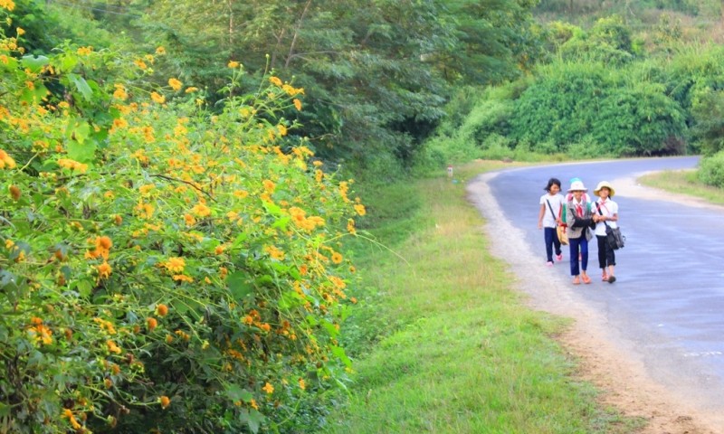 Sớm mai con vào lớp ba
