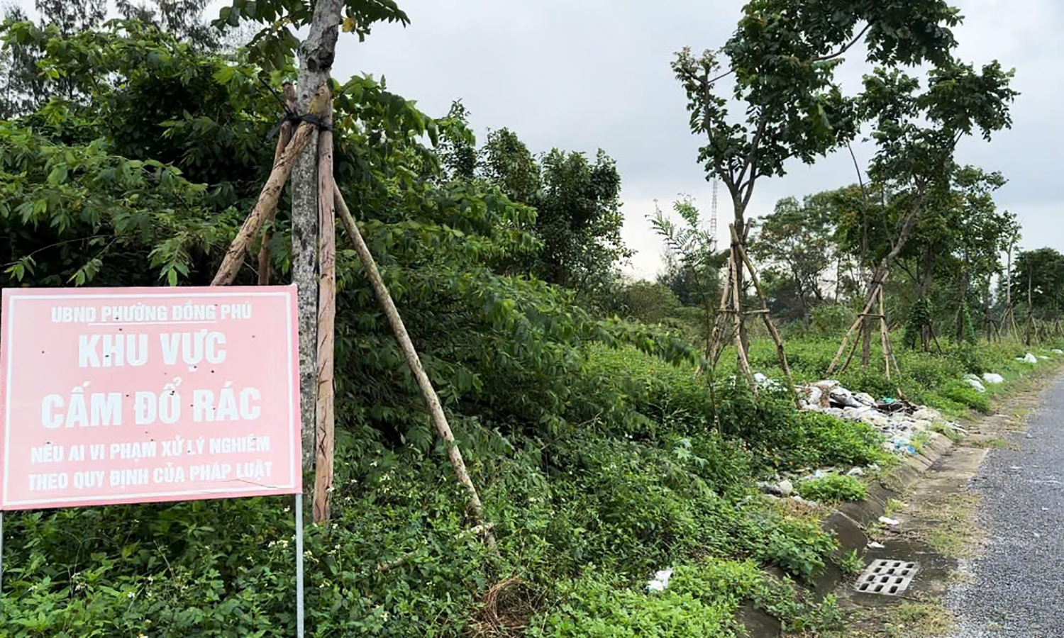 Rác thải tràn lan ngay cạnh biển "cấm đổ rác"