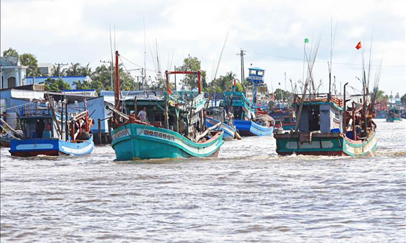 Tỉnh Cà Mau đã triển khai sử dụng phần mềm quản lý liên thông kiểm soát tàu cá ra, vào cửa biển phải có sự kiểm soát của Cảng cá, Văn phòng IUU, Trạm kiểm soát Biên phòng. Ảnh minh họa: Huỳnh Anh/TTXVN