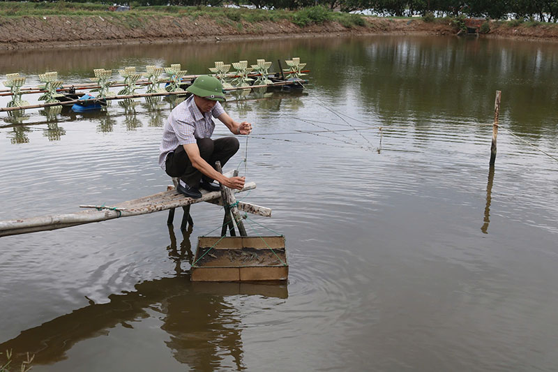 Các địa phương phát triển nuôi trồng thủy sản theo hướng ổn định diện tích.