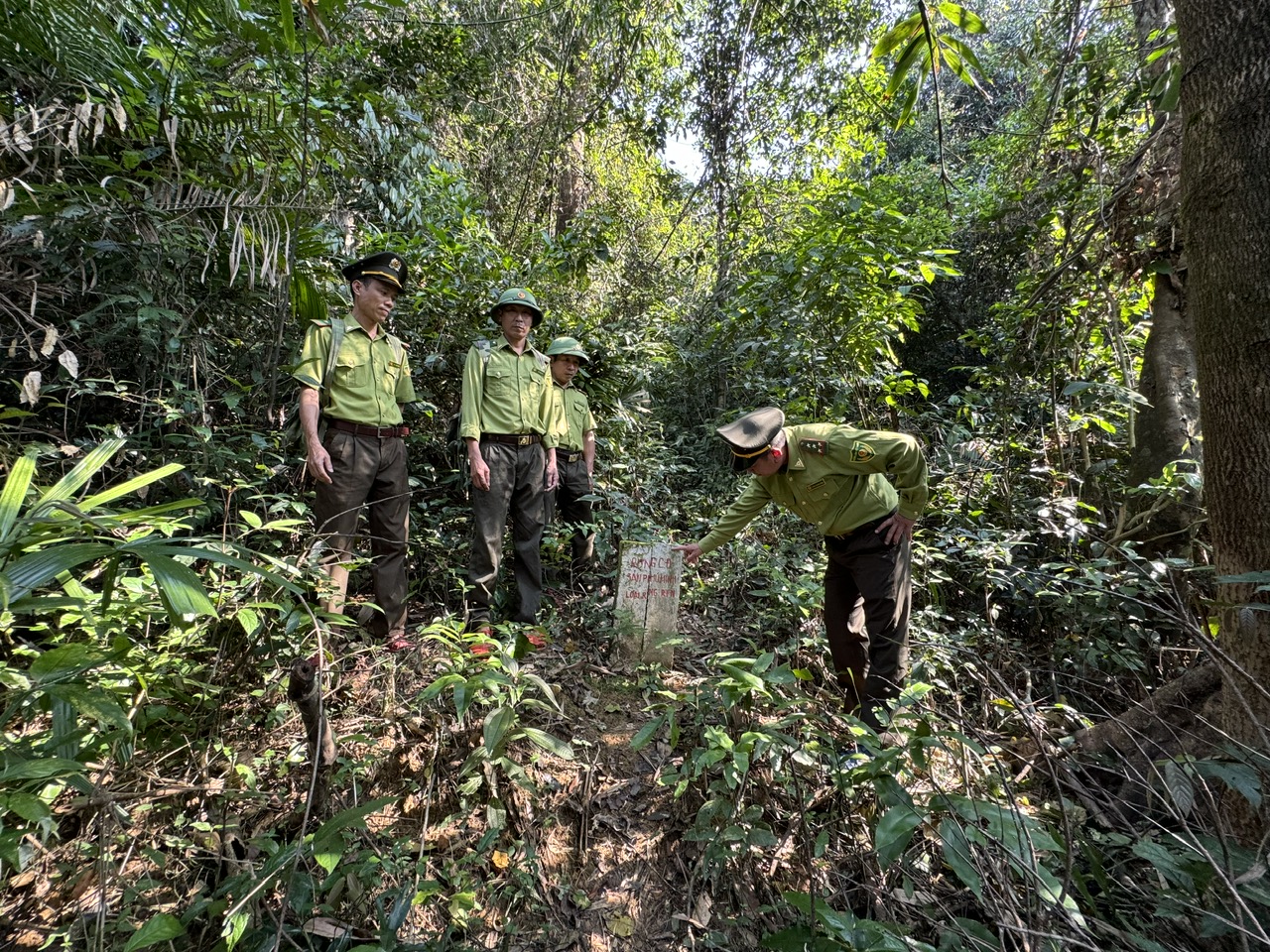 Lực lượng Kiểm lâm Vườn Quốc gia Phong Nha-Kẻ Bàng tăng cường công tác tuần tra tại khu vực rừng giáp ranh.